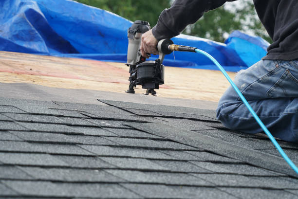 Best Local Roofing Companies  in North Pearsall, TX