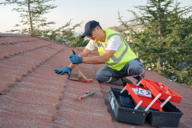 Best Metal Roofing Contractor  in North Pearsall, TX